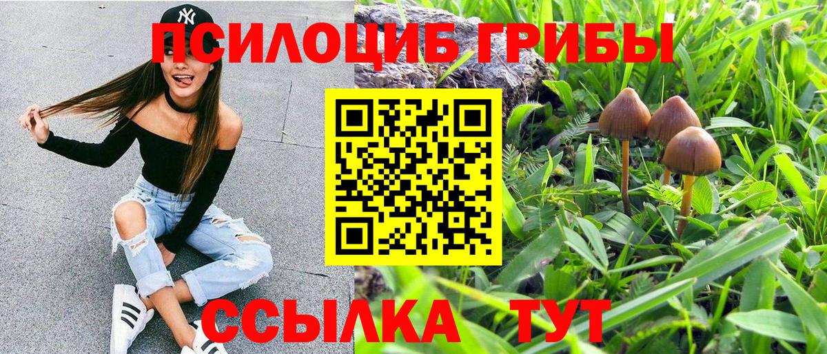 Галлюциногенные грибы прущие грибы  Галлюциногенные грибы MAGIC MUSHROOMS  Саяногорск  Вход с VPN 